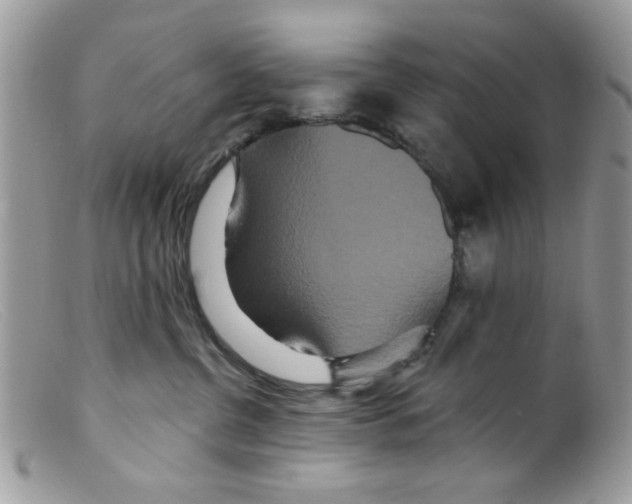 X0000098150380200805151211