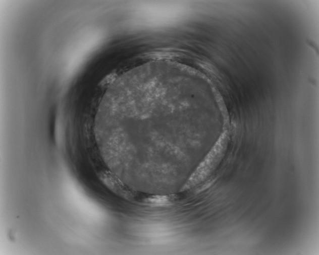 X0000098150381200805151211