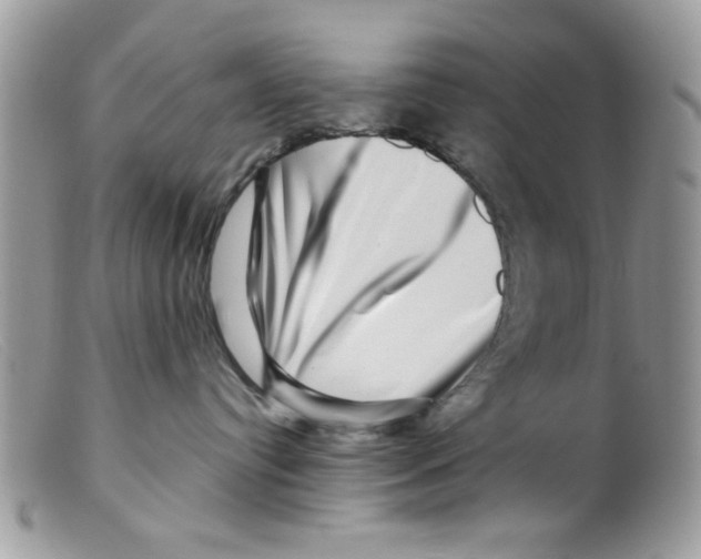 X0000098150384200805151211