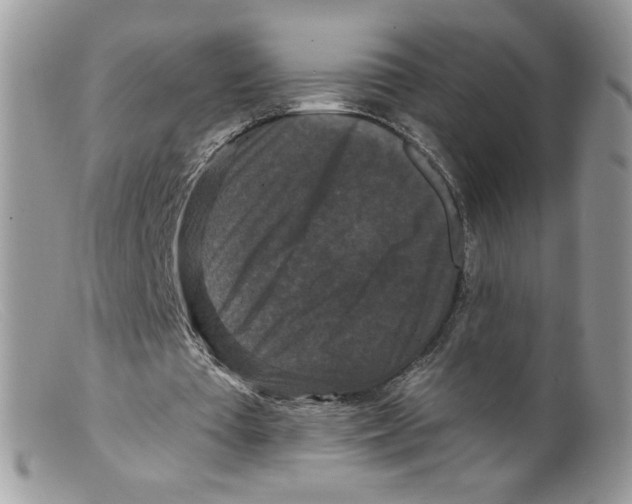 X0000098150385200805151210