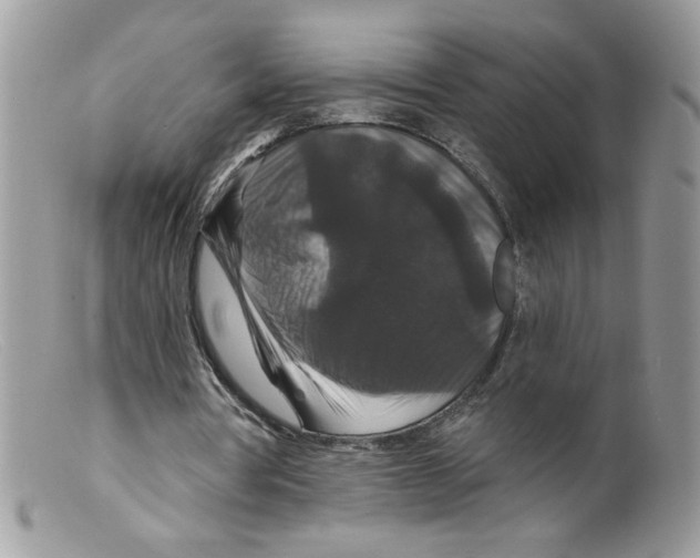 X0000098150386200805151210