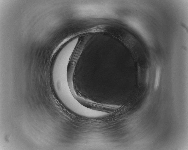 X0000098150387200805151210