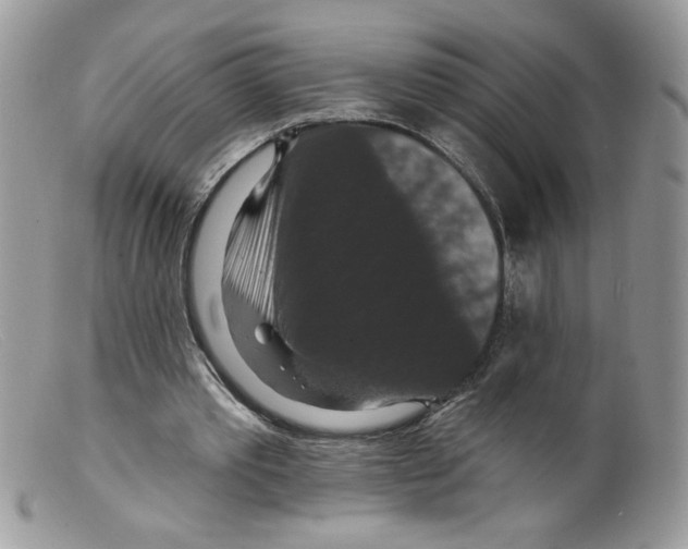 X0000098150389200805151210