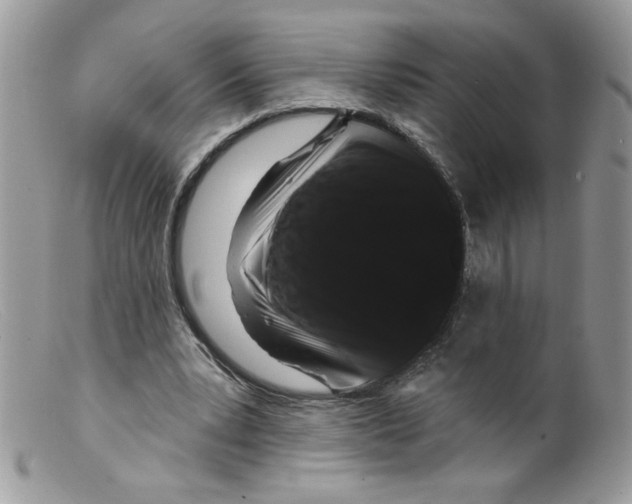 X0000098150391200805151210