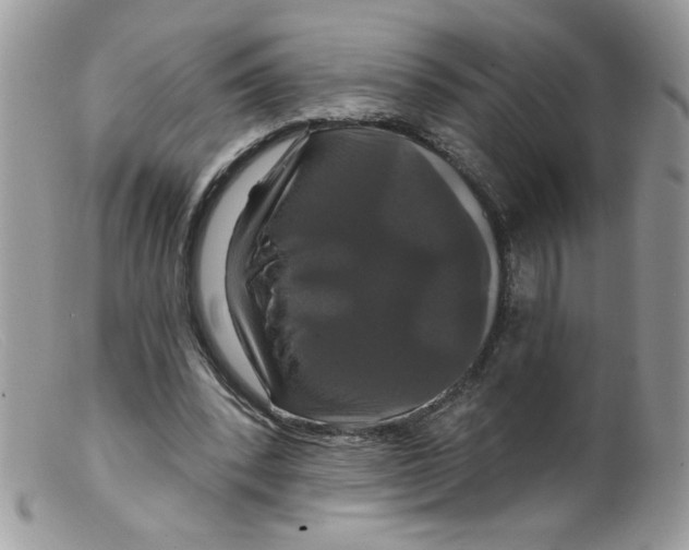 X0000098150392200805151210