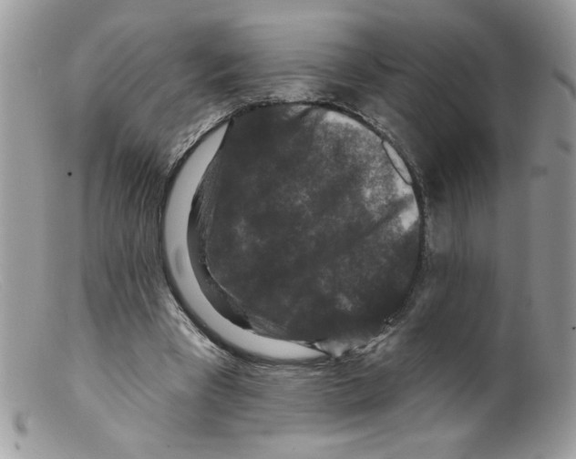 X0000098150393200805151210