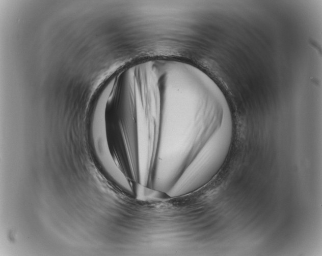 X0000098150395200805151210