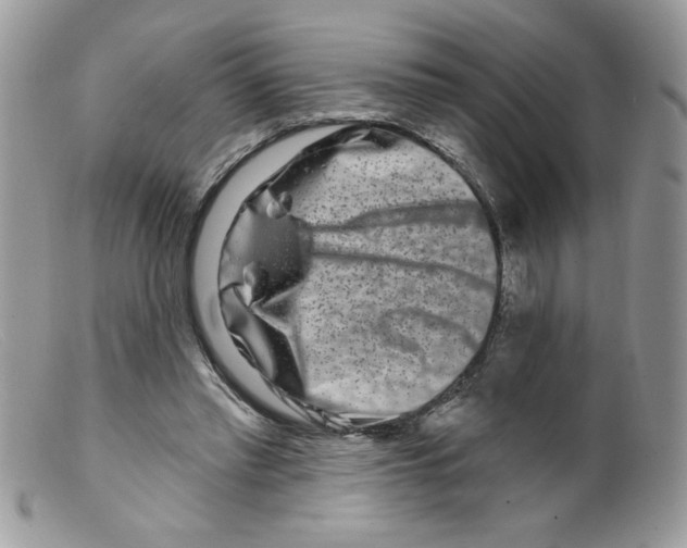 X0000098150397200805151210