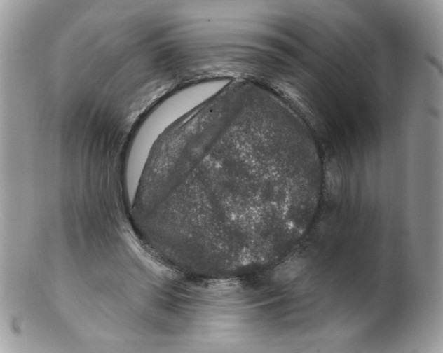 X0000098150398200805151210