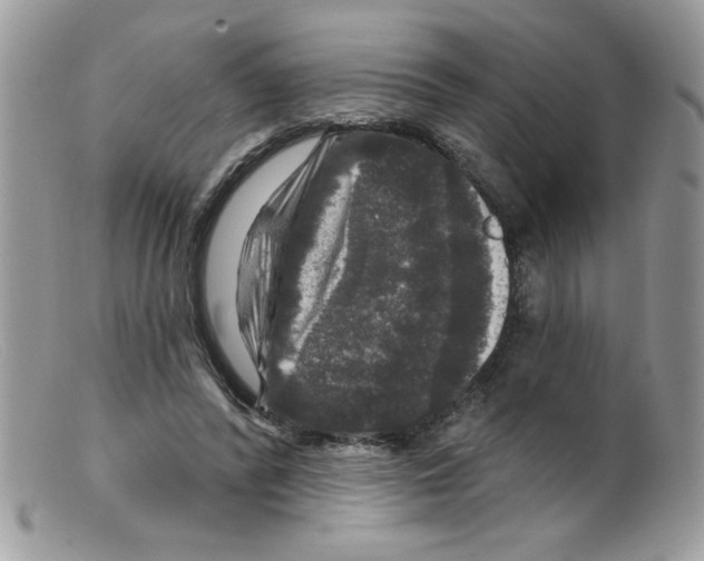 X0000098150400200805151210