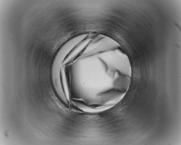 X0000098150401200805151210