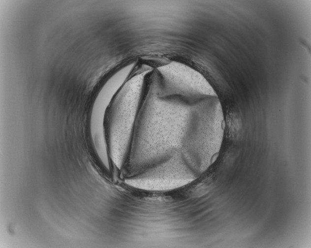 X0000098150404200805151210