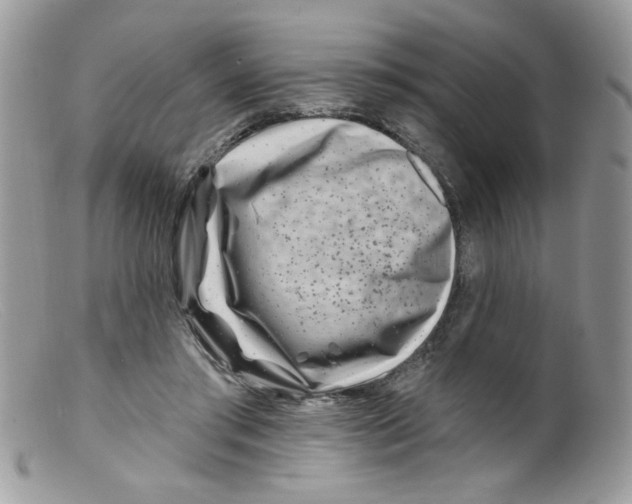 X0000098150405200805151210