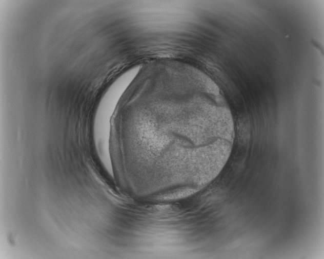 X0000098150406200805151210