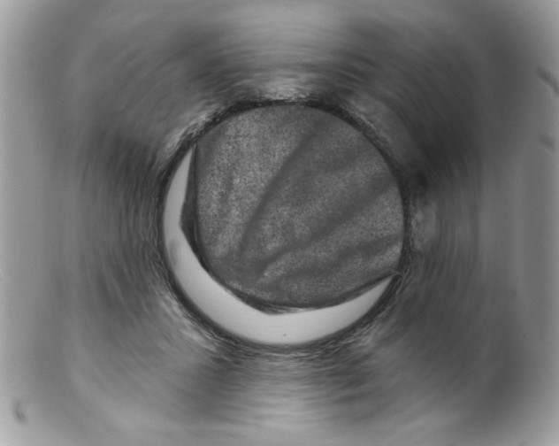 X0000098150407200805151210