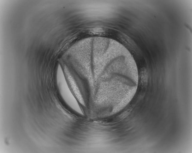 X0000098150408200805151210