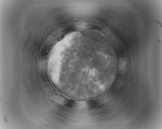 X0000098150409200805151210