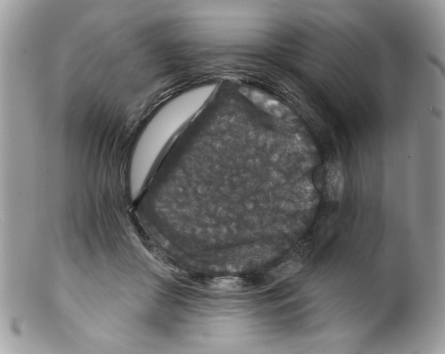 X0000098150410200805151210