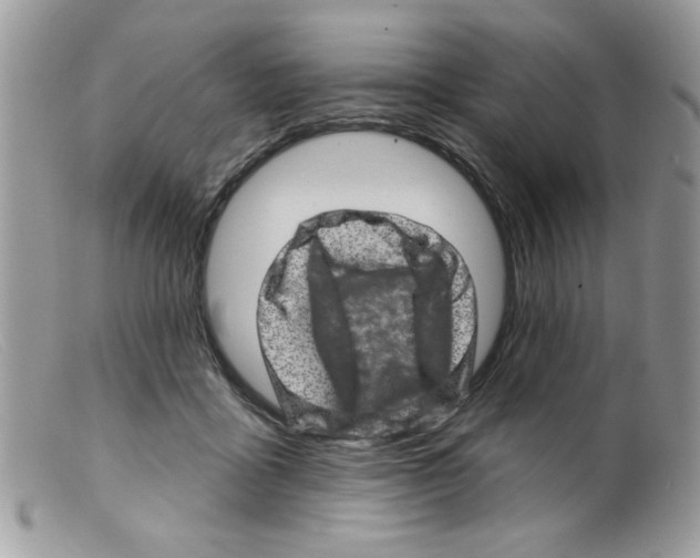 X0000098150411200805151210