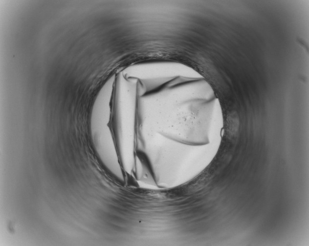 X0000098150413200805151210