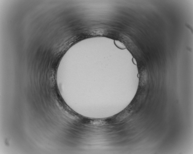 X0000098150414200805151210