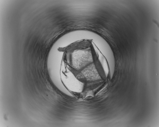 X0000098150415200805151210