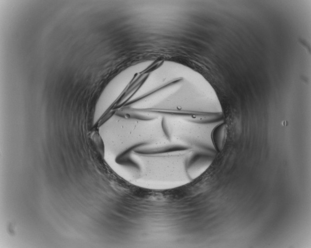 X0000098150416200805151210