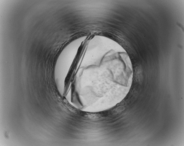 X0000098150417200805151210