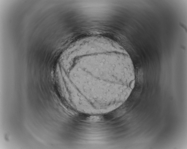 X0000098150418200805151210