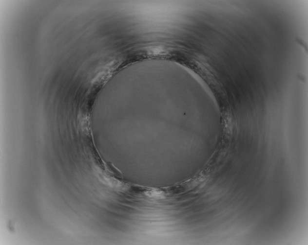 X0000098150419200805151210