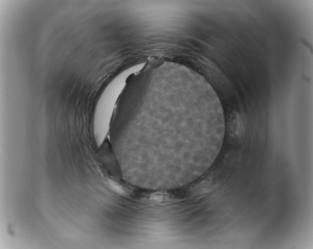 X0000098150420200805151209