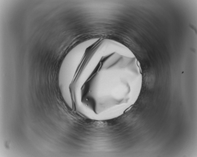 X0000098150421200805151209