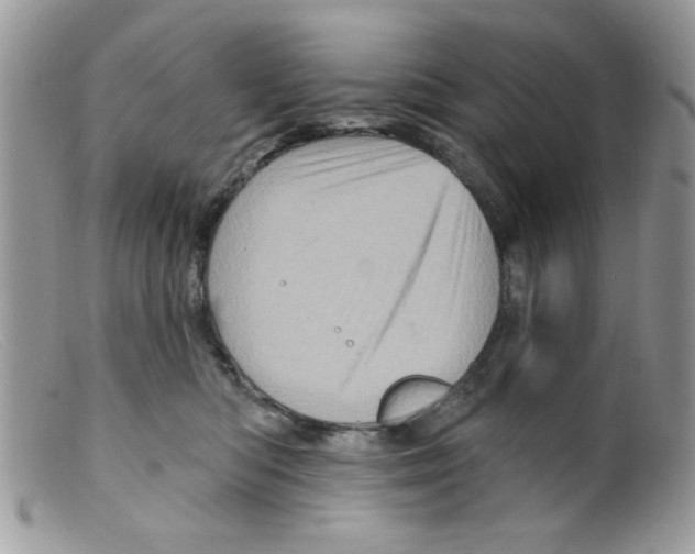 X0000098150422200805151209