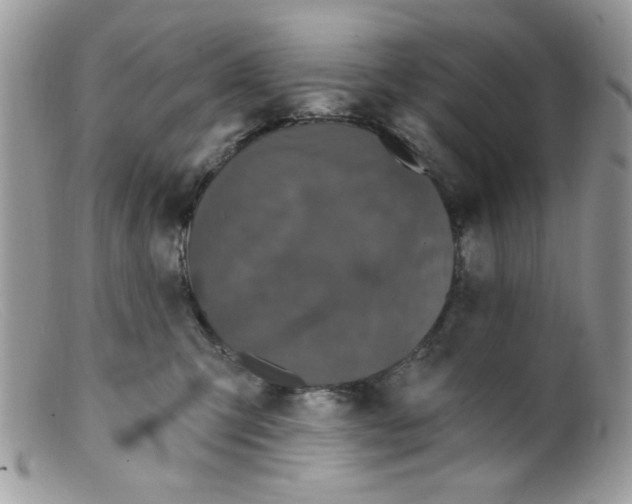 X0000098150423200805151209