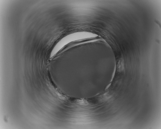 X0000098150424200805151209