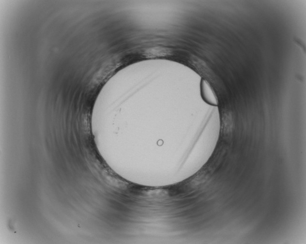 X0000098150426200805151209