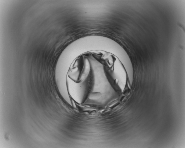 X0000098150427200805151209
