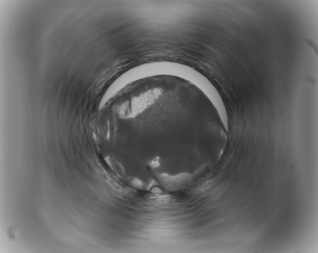 X0000098150428200805151209