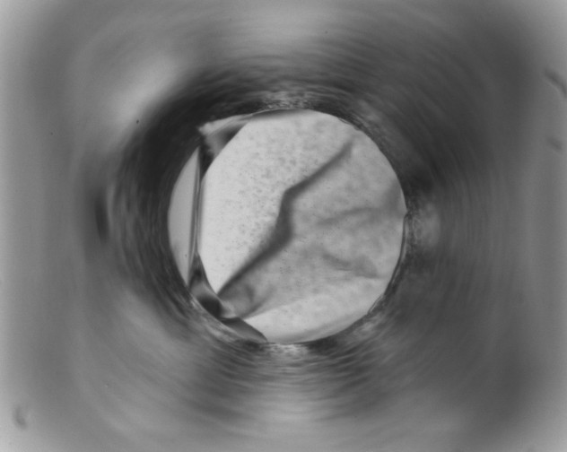 X0000098150429200805151209