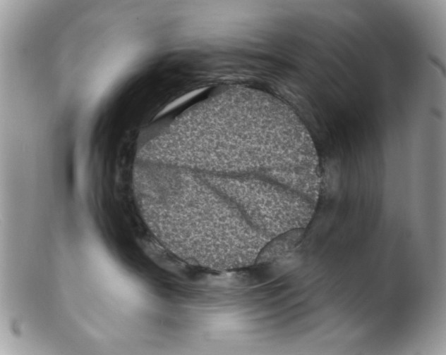 X0000098150430200805151209