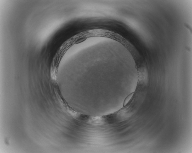 X0000098150431200805151209