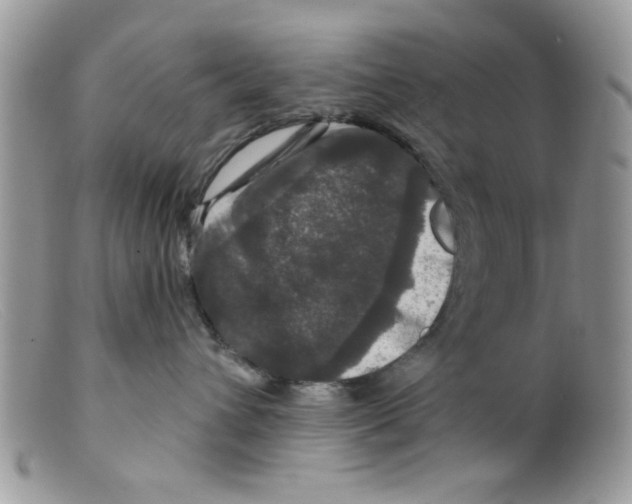 X0000098150432200805151209