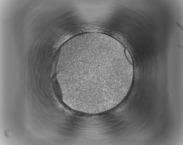 X0000098150433200805151208