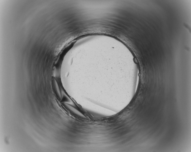 X0000098150434200805151208