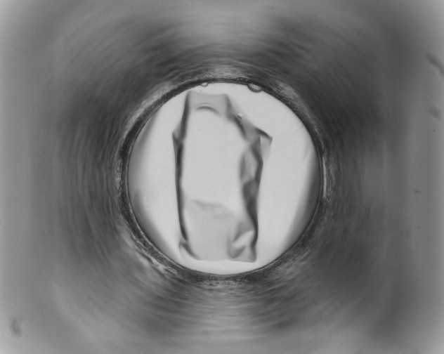 X0000098150435200805151208