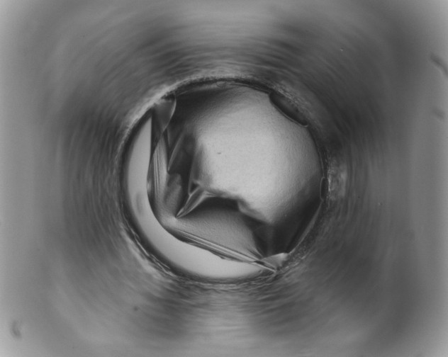 X0000098150436200805151208