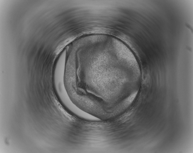 X0000098150437200805151208