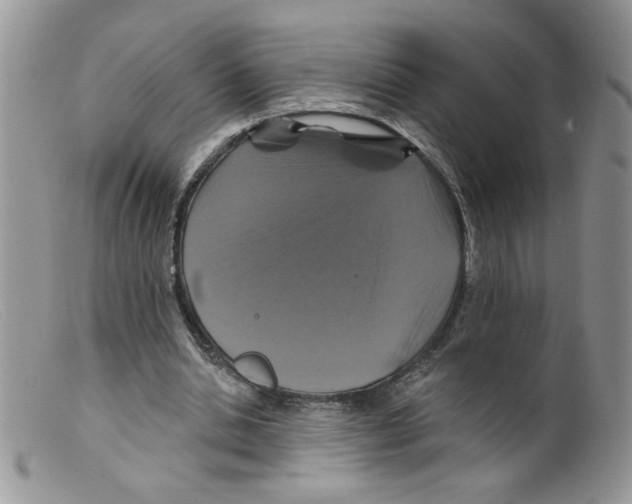 X0000098150438200805151208