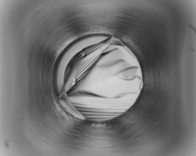 X0000098150440200805151208
