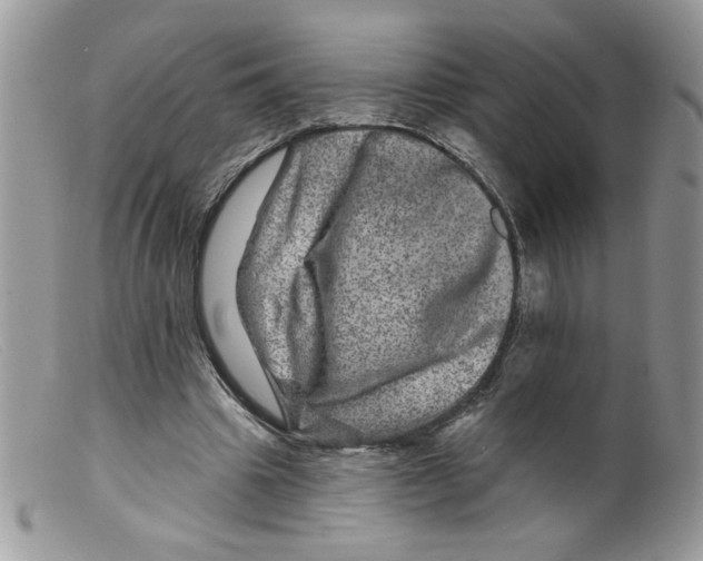 X0000098150441200805151208